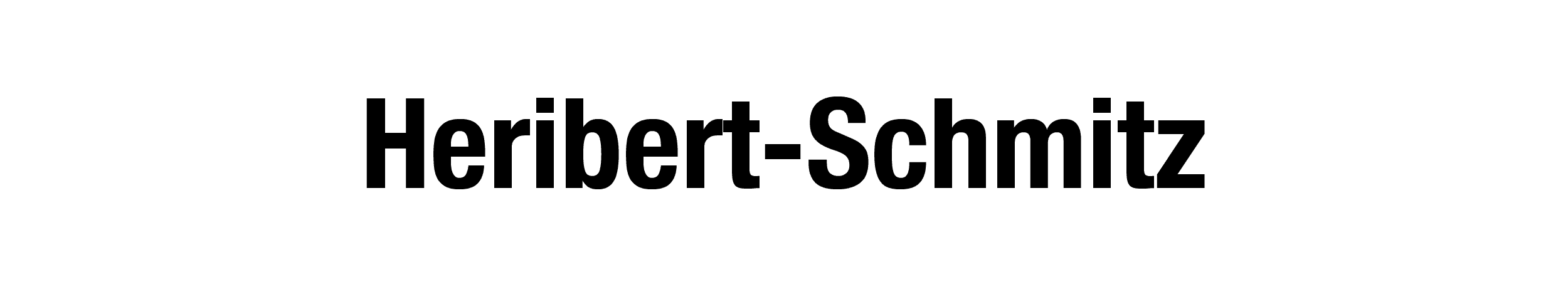 Hauptstraße 3
53359 Rheinbach logo