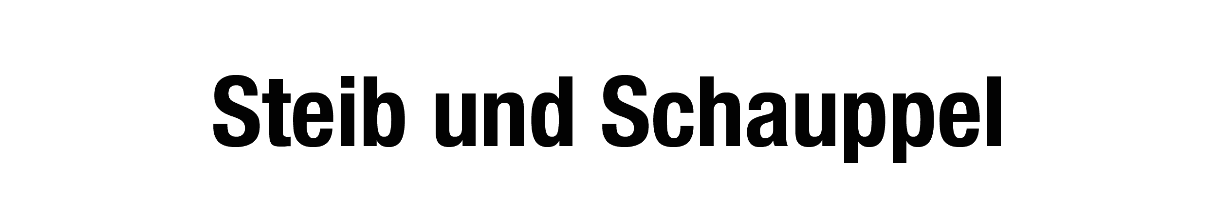 Bismarckstraße 17
87700 Memmingen logo